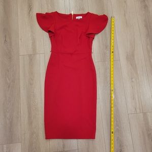 🎁❤️🎄 Red Calvin Klein Dress